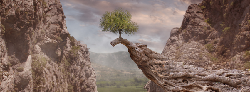 Tarot Terra is een wereld in wording
