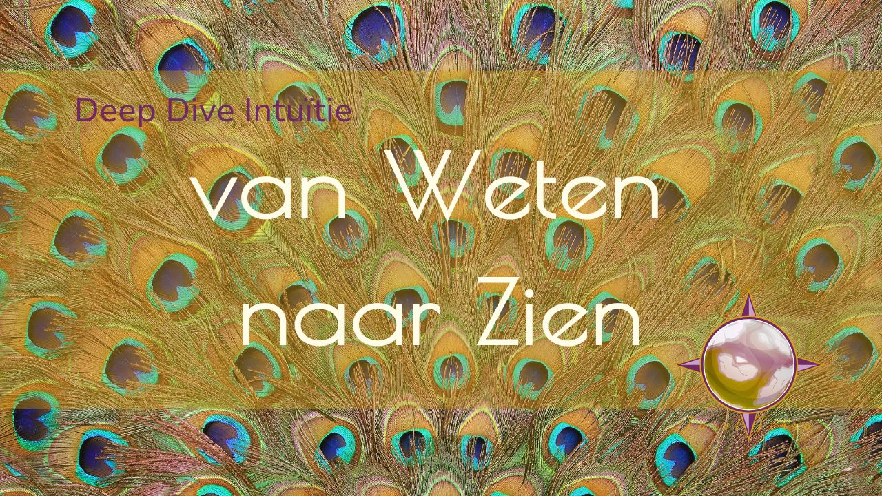 DD Intuitie