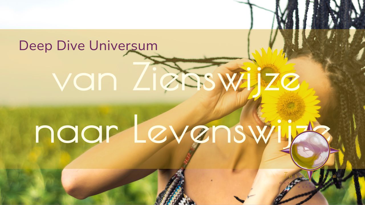 DD universum
