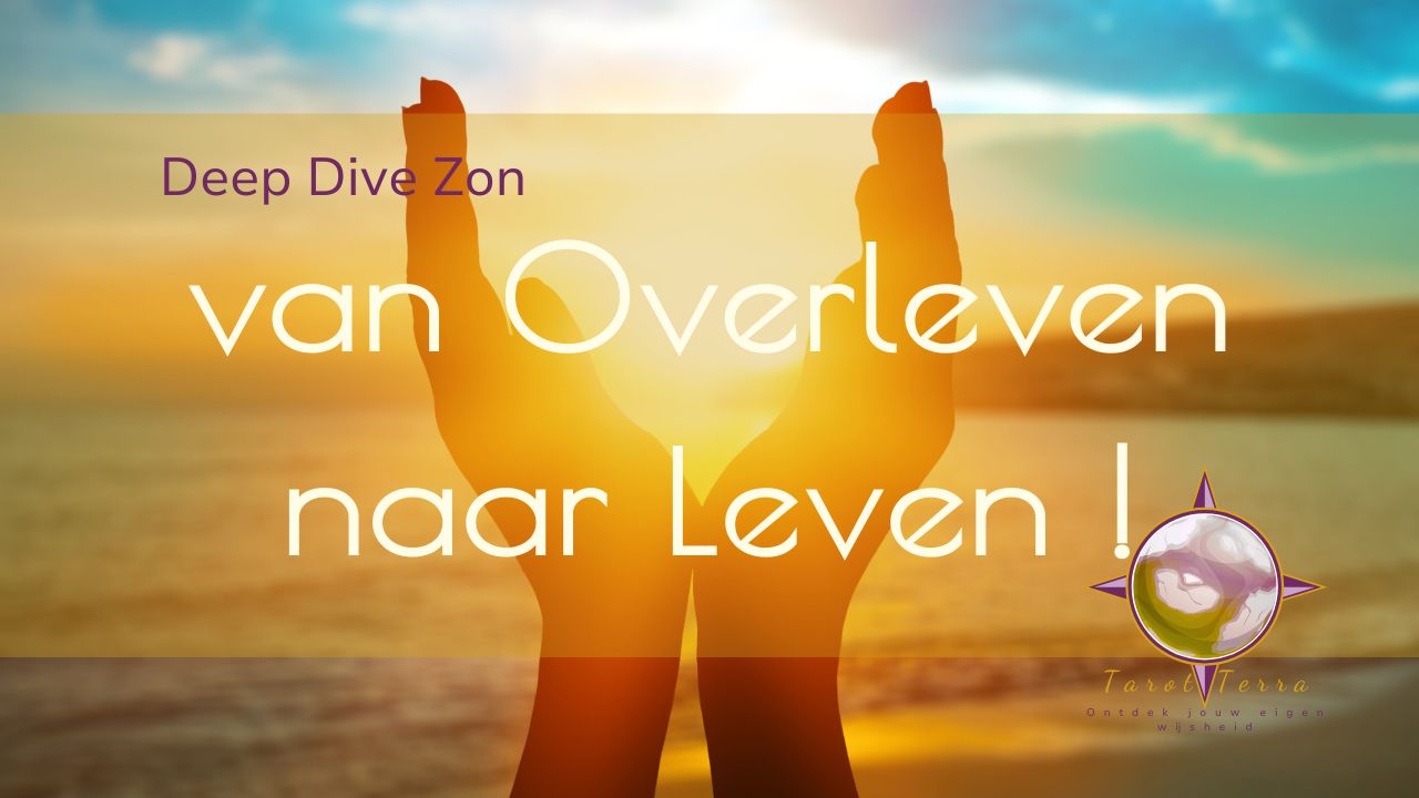 DD zon